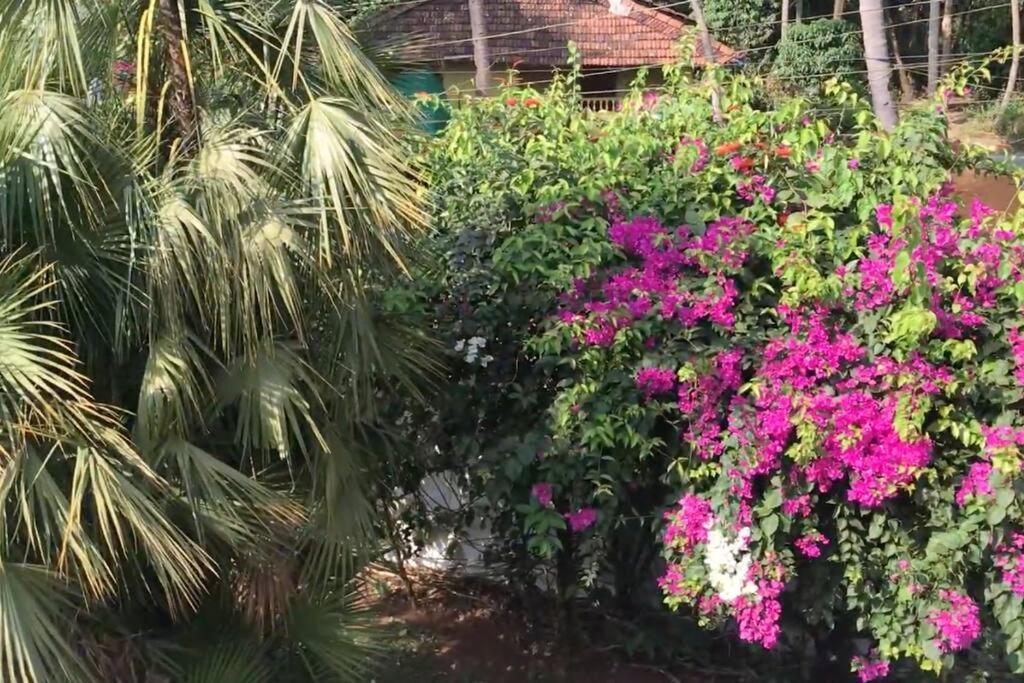 2Bhk Pool Facing Beachside Luxury Homestay In South Goa Битълбатим Екстериор снимка